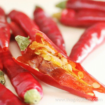 Natural dried chilies Chinese spice Green pepper